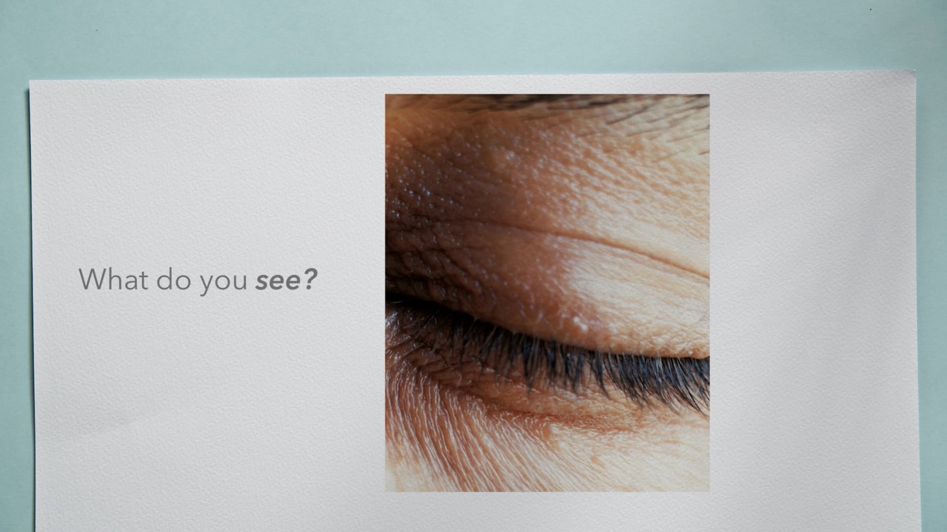 Sustainability in Vision Care: Menicon’s Environmental Commitment